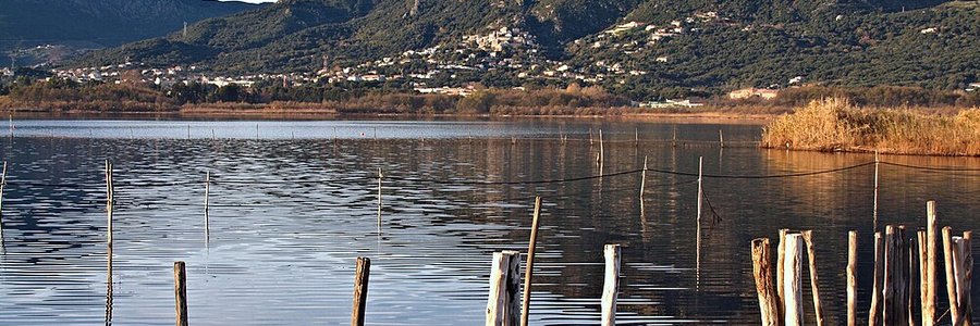 Biguglia (20620) Haute-Corse 2B (Corse)