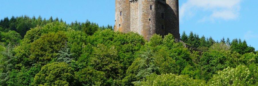 Cantal 15 (Auvergne-Rhône-Alpes)