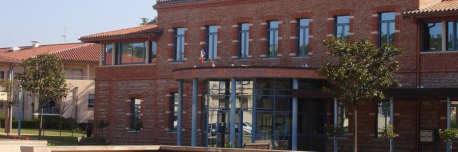 Castanet-Tolosan (31320) Haute-Garonne 31 (Occitanie)