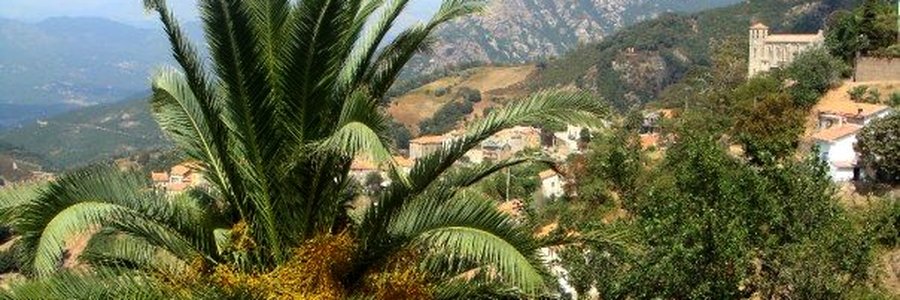 Cuttoli-Corticchiato (20128) Corse-du-Sud 2A (Corse)