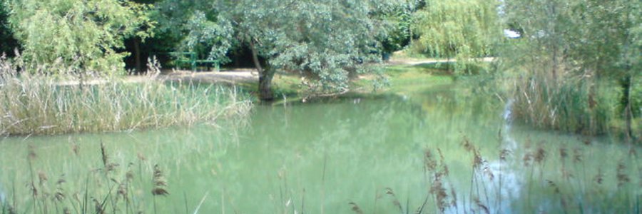 Foulayronnes (47510) Lot-et-Garonne 47 (Nouvelle-Aquitaine)