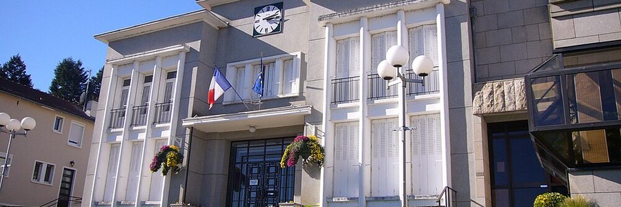 Le Palais-sur-Vienne (87410) Haute-Vienne 87 (Nouvelle-Aquitaine)