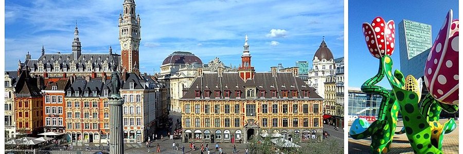 Lille (59000) Nord 59 (Hauts-de-France)
