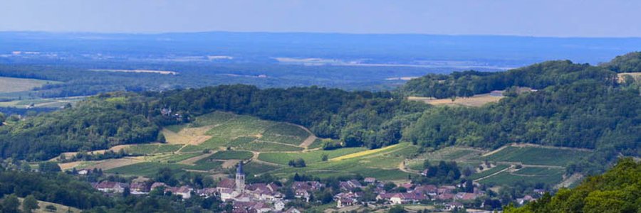 Mesnay (39400) Jura 39 (Bourgogne-Franche-Comté)