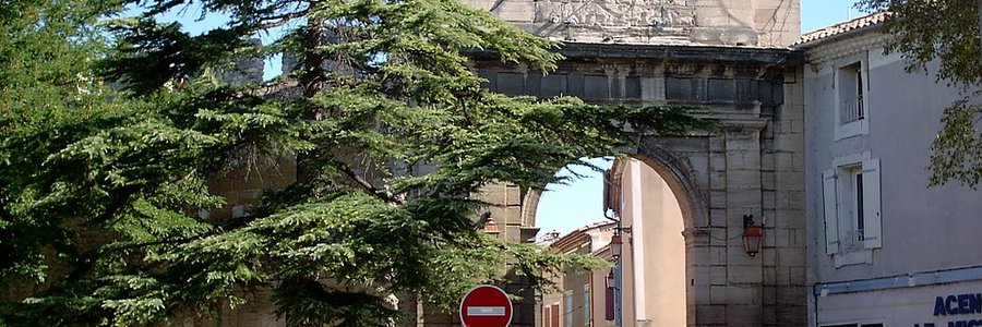 Monteux (84170) Vaucluse 84 (Provence-Alpes-Côte d’Azur)