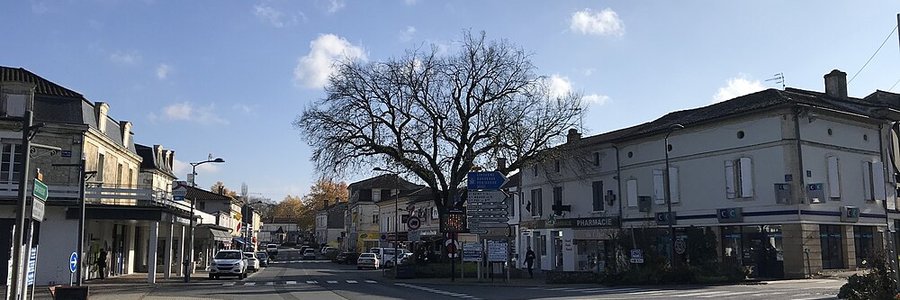 Montpon-Ménestérol (24700) Dordogne 24 (Nouvelle-Aquitaine)