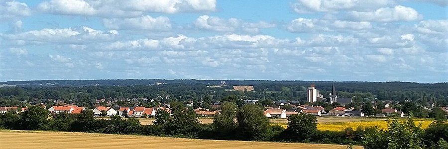 Naintré (86530) Vienne 86 (Nouvelle-Aquitaine)
