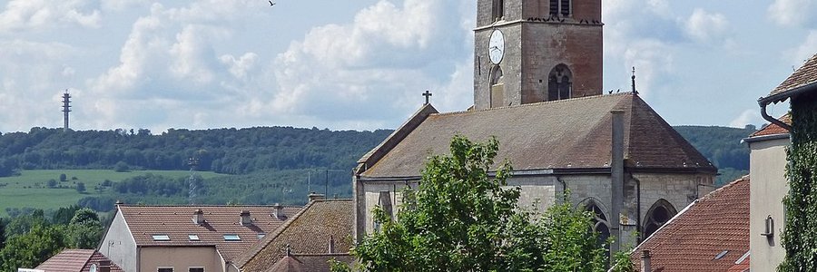 Neufchâteau (88300) Vosges 88 (Grand Est)