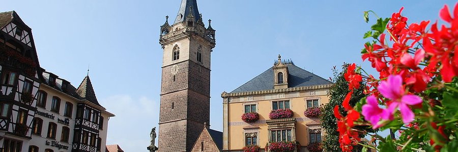 Obernai (67210) Bas-Rhin 67 (Grand Est)