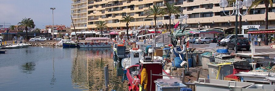 Saint-Cyprien (66750) Pyrénées-Orientales 66 (Occitanie)