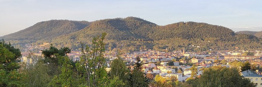 Saint-Dié-des-Vosges (88100) Vosges 88 (Grand Est)