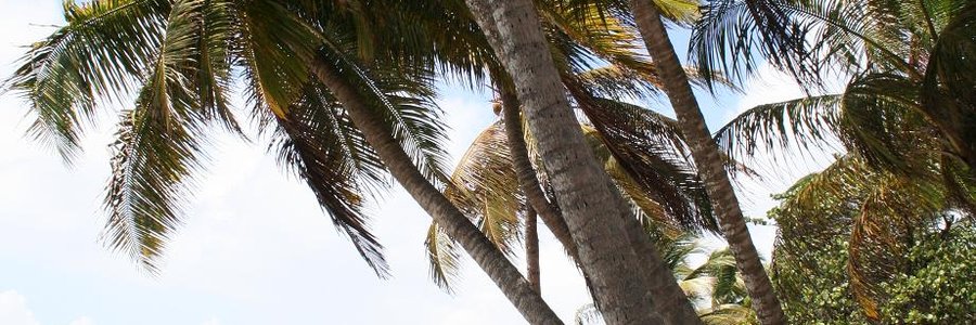 Sainte-Anne (97180) Guadeloupe 971 (Guadeloupe)
