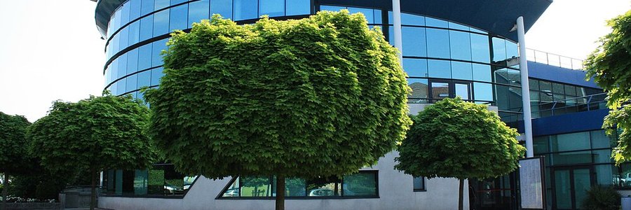 Savigny-sur-Orge (91600) Essonne 91 (Île-de-France)