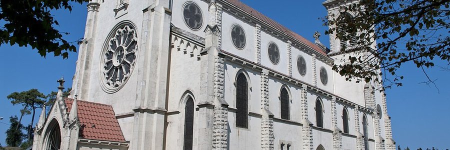 Tarnos (40220) Landes 40 (Nouvelle-Aquitaine)