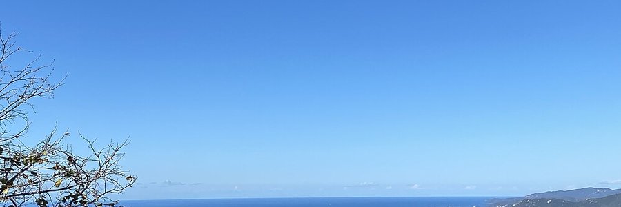 Viggianello (20110) Corse-du-Sud 2A (Corse)